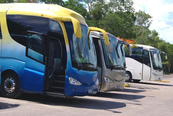 Bussen. coaches — Stockfoto