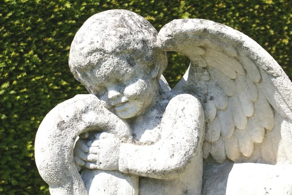 Cherub Statue. Engelsstatue — Stockfoto