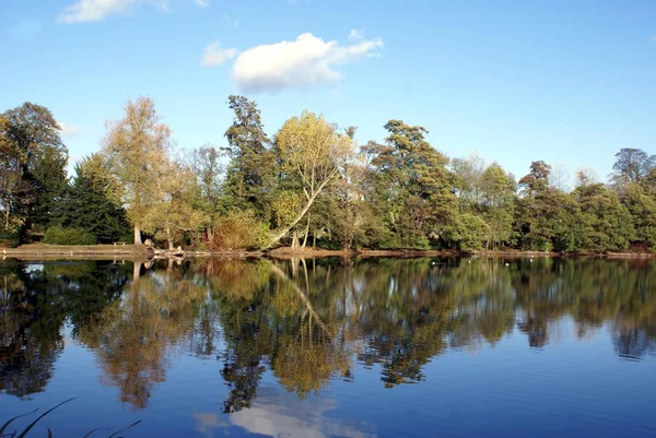 Lake scene. lake. lake view — Stock Photo, Image