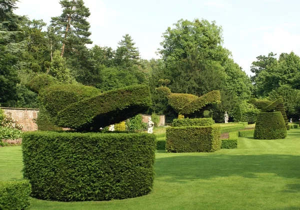 Topiary trees — Stock Photo, Image