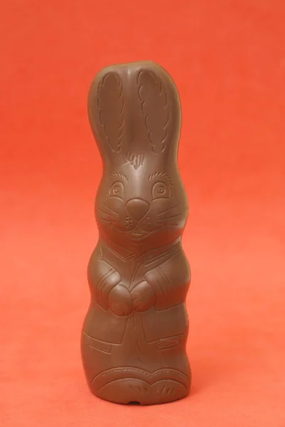 巧克力兔子 — 图库照片
