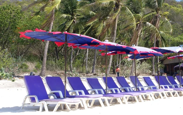 Spiaggia. sedie a sdraio e ombrelloni — Foto Stock