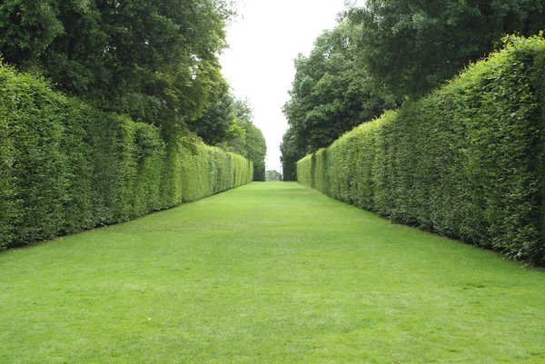 Sentiero. Percorso. sentiero del giardino. sentiero del giardino. siepi — Foto Stock