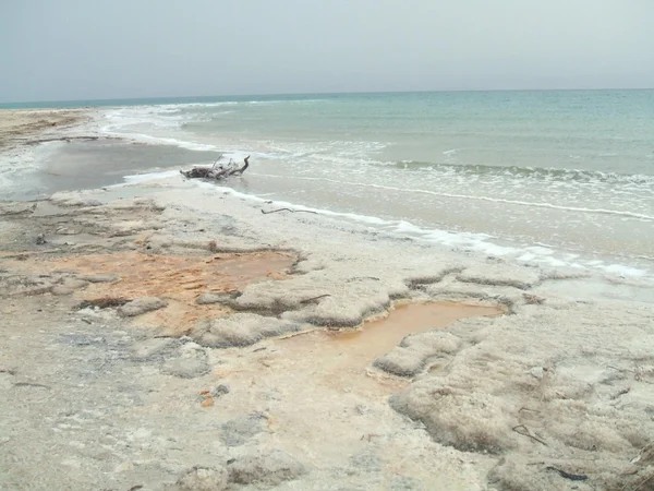 Salt deposits,The Dead Sea, Israel, Middle East — Stock Photo, Image