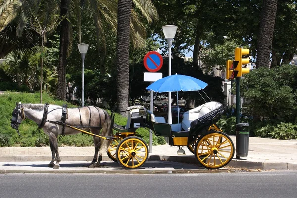 Cavalo e carruagem. Um carro turístico tradicional e cavalo em Sevilha, Andaluzia, Espanha — Fotografia de Stock