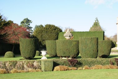 Bahçe. Porsuk Budama sanatı. heykel semaver