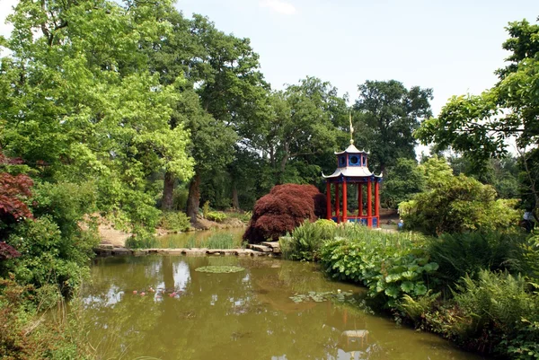 Jardín — Foto de Stock