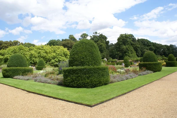 Garden — Stock Photo, Image