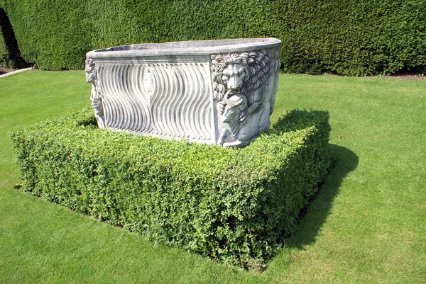 Skulpterade urn. buxbomshäck — Stockfoto