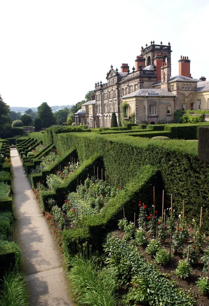 Garden with sculptured hedges — Stock Photo, Image