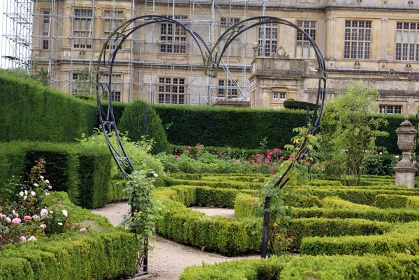 Bir kalp şeklinde bahçe gül kemer