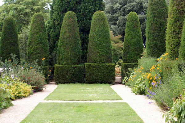 Árvores topiárias em um jardim — Fotografia de Stock