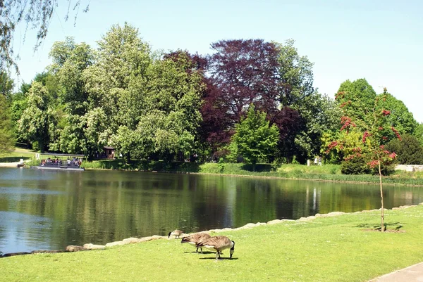 Lake, Leeds castle garden, Kent, England — Stock Photo, Image