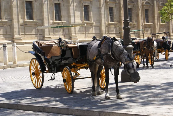 Paard rijtuigen, Sevilla, Andalusie, Spanje — Stockfoto