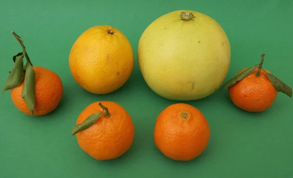 Cítricos. Naranja mandarín. mandarina. Naranja. toronja . —  Fotos de Stock