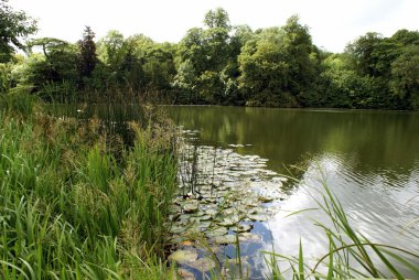 Avon river, Woodstock, Oxfordshire, England clipart