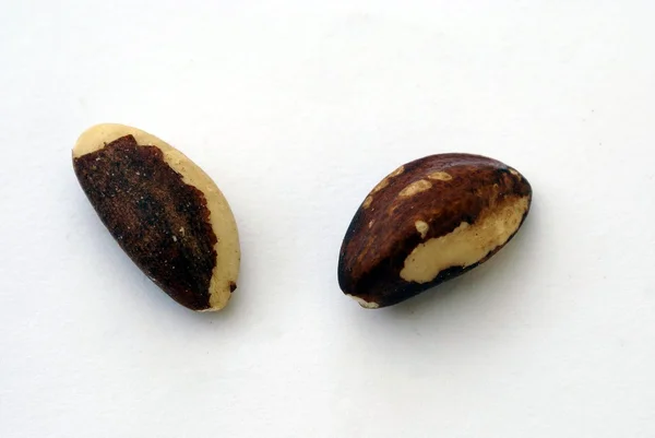 Brazil nut — Stock Photo, Image