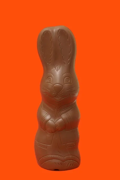 Conejo de chocolate de Pascua —  Fotos de Stock