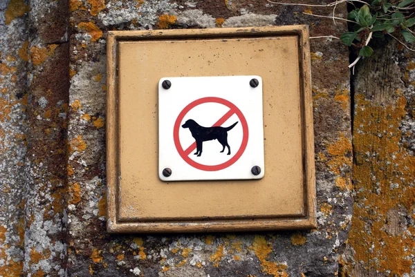 Ingen hund post. hund förbjudna tecken. ingen post med en hund — Stockfoto