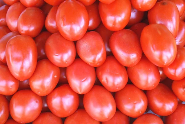 Ντοματίνια. Ντοματίνια. Ντομάτες στην αγορά προς πώληση — Φωτογραφία Αρχείου