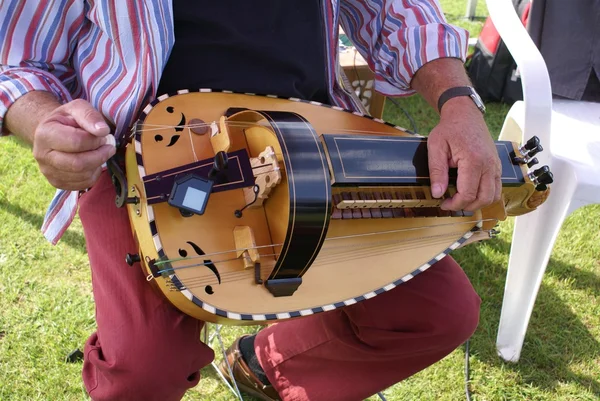 Hurdy Gurdy. Hurdy-Gurdy. instrumento musical. hurdy gurdy de cerca — Foto de Stock