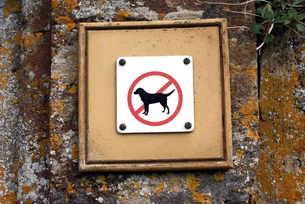 No dog entry. dog prohibited sign. no entry with a dog Royalty Free Stock Images