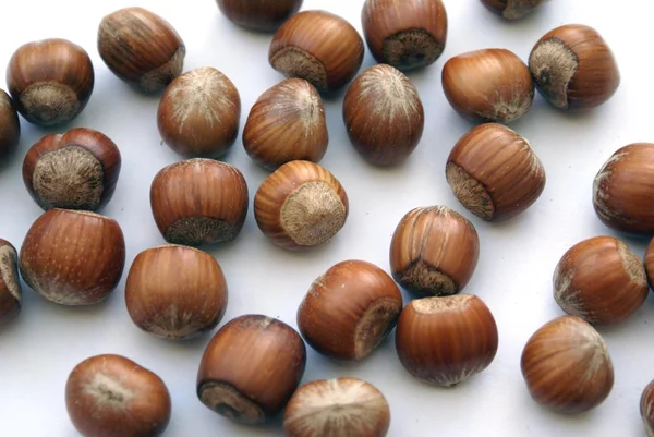 Hazelnut — Stock Photo, Image