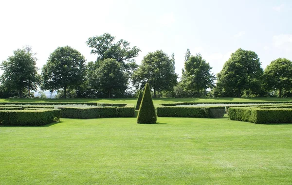Taman Topiary — Stok Foto