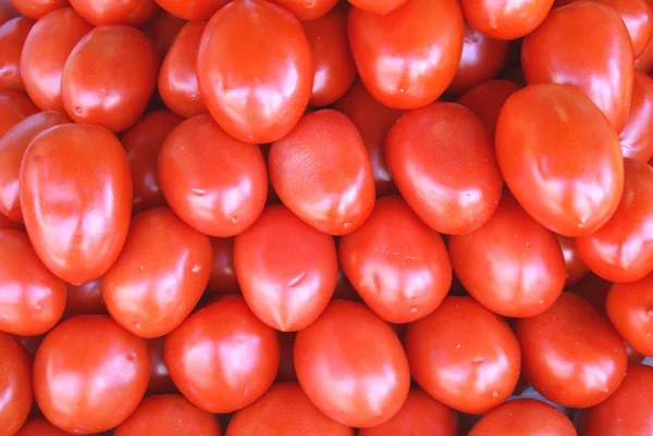 Tomaten — Stockfoto