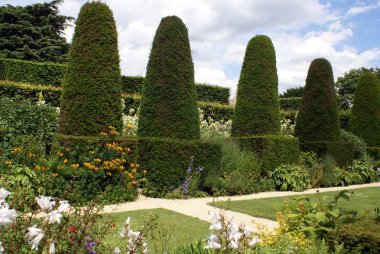 Bir bahçe çim ağaçlarda