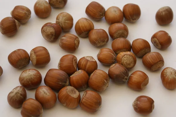 Hazelnut — Stock Photo, Image