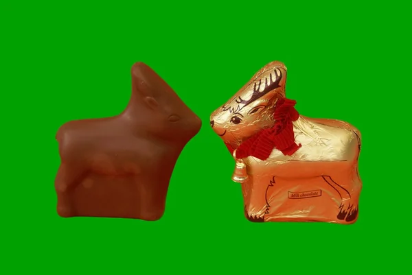 Coelhos de chocolate — Fotografia de Stock