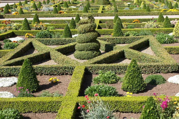 Garden art. garden design. sunken garden — Stock Photo, Image