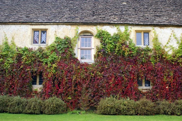 Windows Lacock Abbey, Lacock, Wiltshire, England — Stockfoto