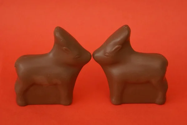 Lapins au chocolat — Photo