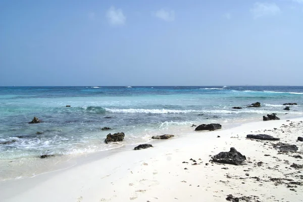 Mexican gulf — Stock Photo, Image