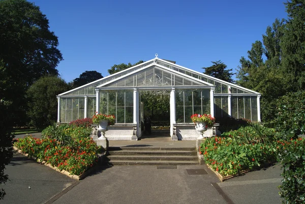 Greenhouse. hothouse — Stock Photo, Image