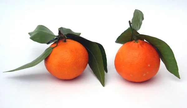 Tangeriner med blade - Stock-foto