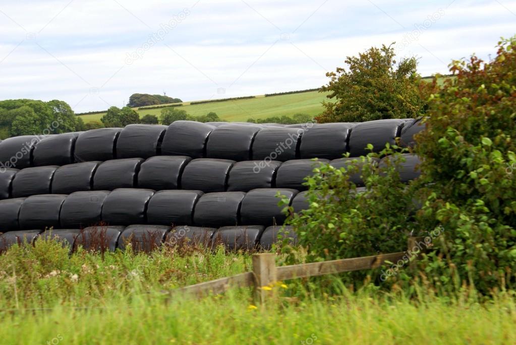 Wrapped hay in plastic sacks or bags