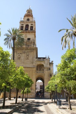 Cordoba Katedrali, Endülüs, İspanya