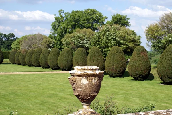 Vaso em um jardim topiário — Fotografia de Stock