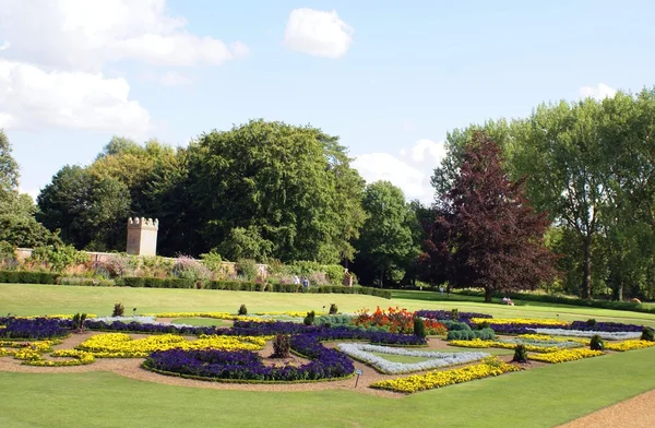 Flower beds — Stock Photo, Image