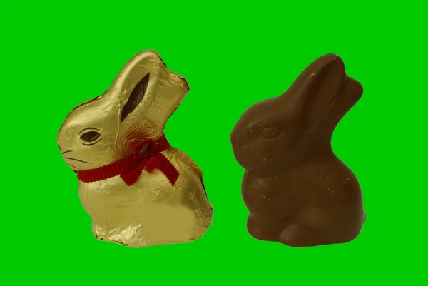 复活节巧克力兔子 — 图库照片
