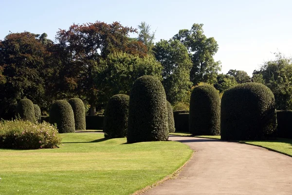 Królewskie ogrody botaniczne Kew, Londyn, Anglia — Zdjęcie stockowe