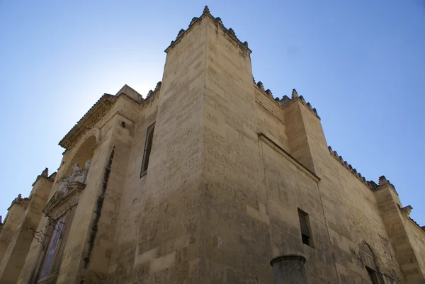 Cordoba katedralen, Andalusien, Spanien — Stockfoto