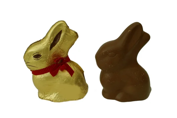 Coniglietti di cioccolato mangiatore — Foto Stock