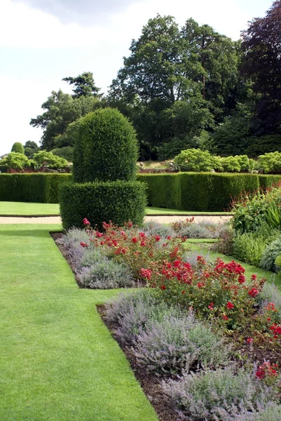 Bordure herbacée et if topiaire dans un jardin — Photo