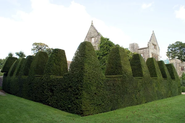 Sculptured hedge — Stock Photo, Image