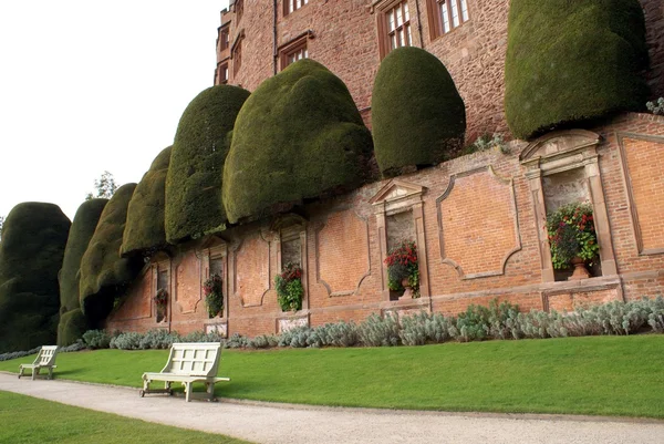 Bangku, topiary yew, & vas di ruang kecil. Powis castle garden, Welshpool, Wales, Inggris — Stok Foto