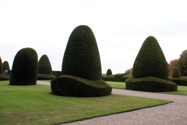 Botanik Bahçesi, Chirk Kalesi, Wrexham, Galler, İngiltere